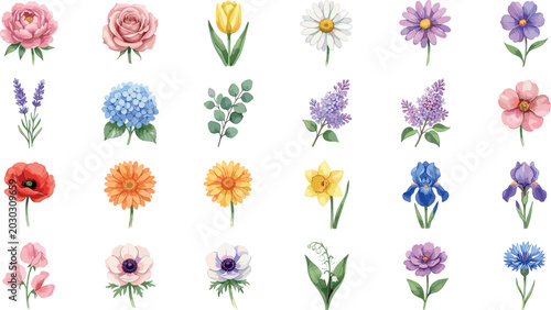 Foto Watercolor Spring Flower Collection with Rose, Tulip, Daisy, Lavender, Iris, Pop