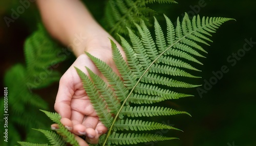 Close-up of a hand gently touching a vibrant green fern leaf in a natural setting.