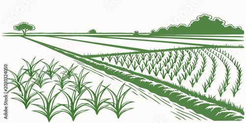Tableau sur toile Green stylized landscape of a vast rice paddy field with crops agriculture lands