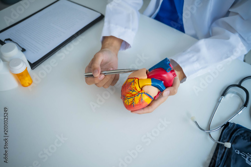 Konstfotografi cardiologist using stethoscope with heart model
