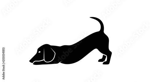 Ferret Logo Set in Different Styles