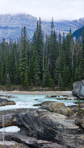 Glacial turquoise river flowing past prominent rock formations and tall pine forest with misty mountains