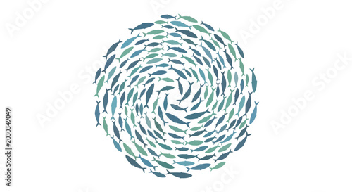 School of Fish Swimming in Circle.