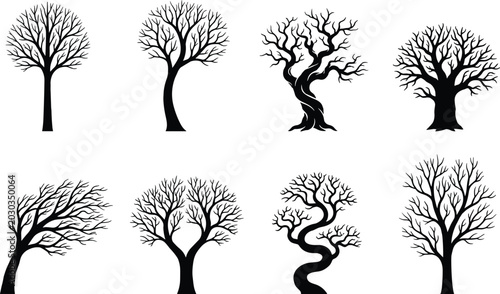 Bild auf Leinwand Black and white of eight different types of trees with varying leaf shapes tree