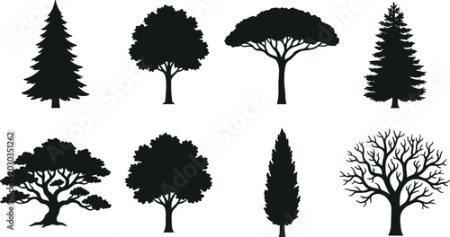 Canvas-taulu Black and white of eight distinct tree types with detailed foliage pine tree map