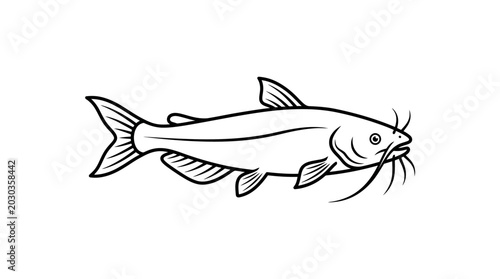 Detailed black and white illustration of catfish with whiskers.