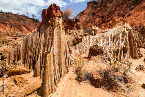 Madagascar, Ankarana