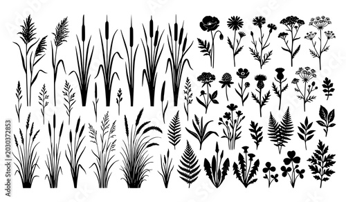 Tableau sur toile Minimal meadow grass and cattail silhouette vector with wild floral botanical el
