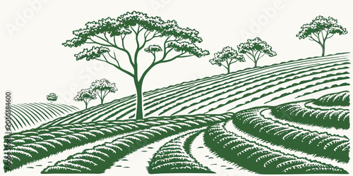 Tableau sur toile Graphic illustration of rolling farmland with trees and undulating hills landsca