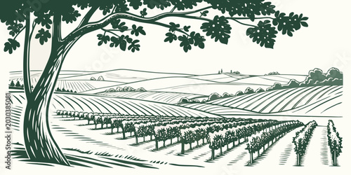 Foto Hand drawn ink illustration of a vineyard landscape with a large tree vineyard l
