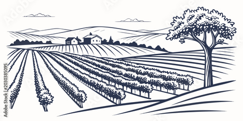 Foto Line art vineyard landscape illustration with rolling hills and country house vi