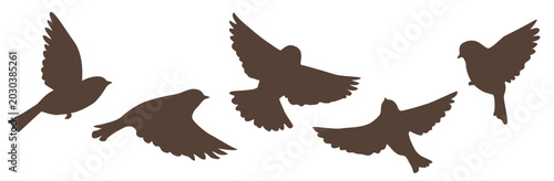 Bird silhouette collection. Set of vector decorative flying birds. Bird icon. Stock illustration