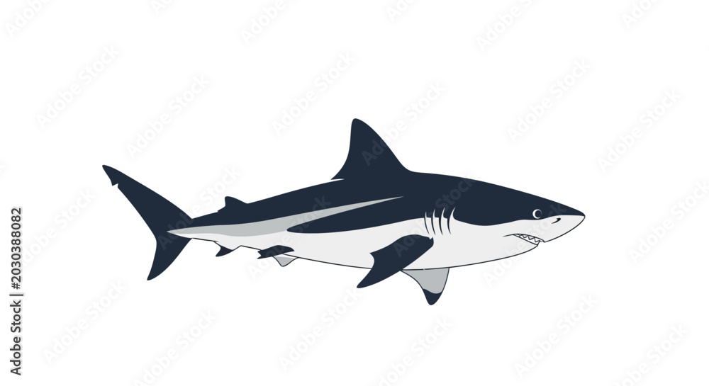 Obraz premium Blacktip Reef Shark Side View.