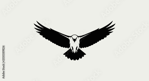 Photos Black silhouette of a soaring hawk with outstretched wings against a light backg