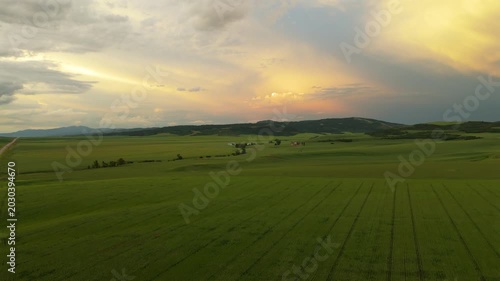Aerial drone footage captures breathtaking golden hour sunset over vast green agricultural fields in Montana USA with dramatic clouds, rolling hills, distant mountains.