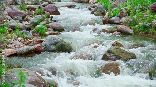 Static wide view of fast mountain river with rapids flowing between rocks and green plants in natural outdoor landscape.