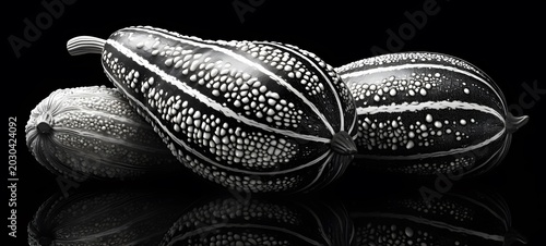 art of bitter melon a black and white high contrast full body. Generative AI