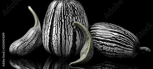 art of bitter melon a black and white high contrast full body. Generative AI