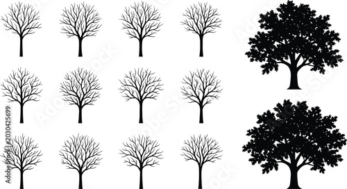 Tableau sur toile Black and white of twelve leafless trees in three rows winter bare branches des