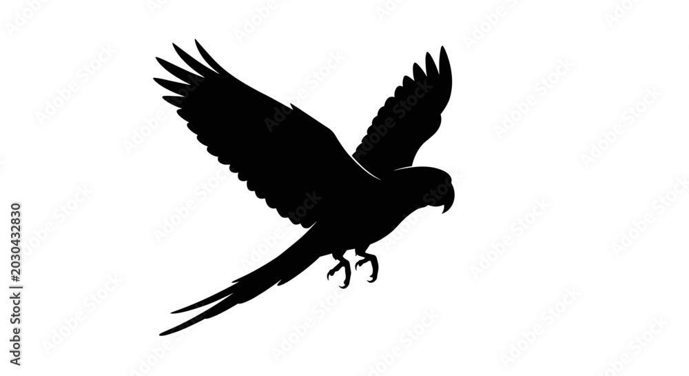 Fototapeta premium Silhouette of a parrot in flight against a white background.