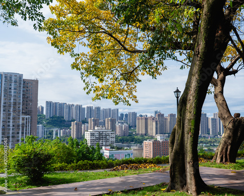 Chongqing Roosevelt Library