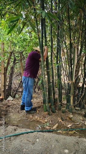 Young man suffering from depression, leaning on bamboo poles in the garden
