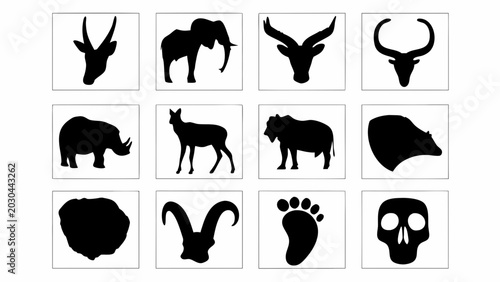 Set of wild african animal silhouettes and icons