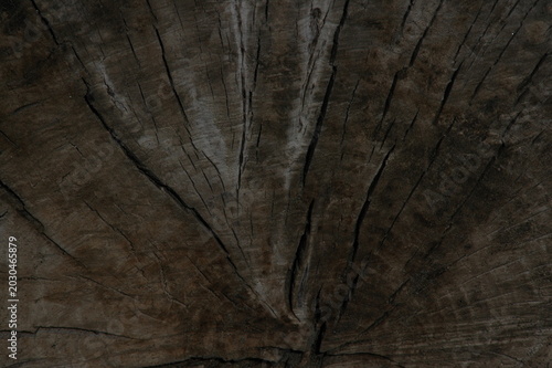 old wood texture