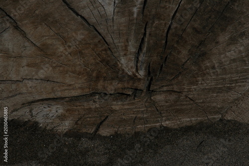 old wood texture