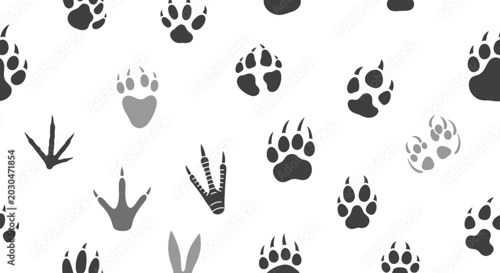Fototapeta premium Animal Footprints Seamless Pattern, Paw Prints and Bird Tracks