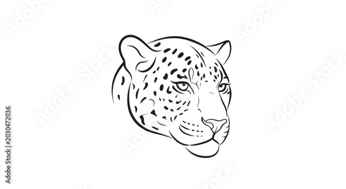 Photography Jaguar Head Sketch, Black and White Line Art, Wild Animal Portrait