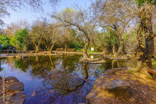 Wading pool, in Tel Dan Nature Reserve