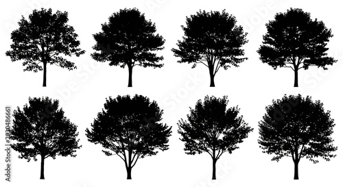 Cuadro en lienzo Tree silhouettes collection on white background