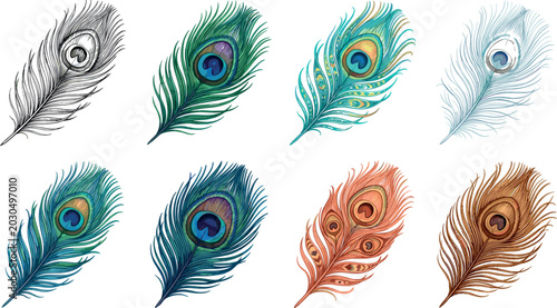 Foto Peacock Feather Vector Collection with Colorful Exotic Plumage, Elegant Decorati