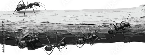 Foto Realistic black ants vector illustration colony moving through soil tunnel with