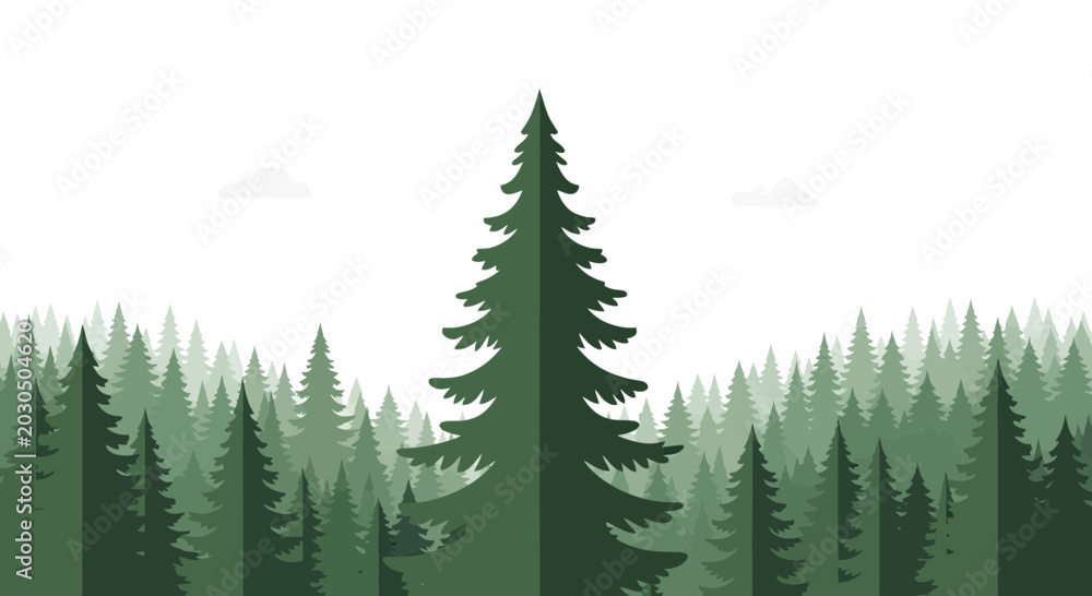 Obraz premium Evergreen forest landscape, minimalist flat design pine trees