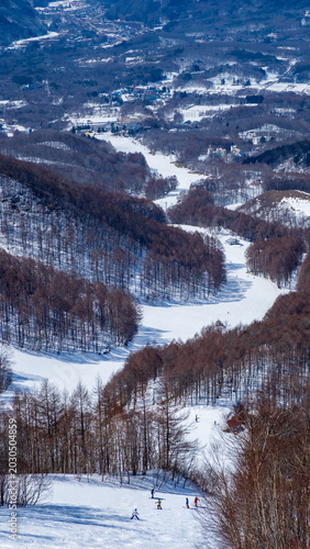 Snowy landscape at Takatsue Ski Resort, Fukushima, Japan