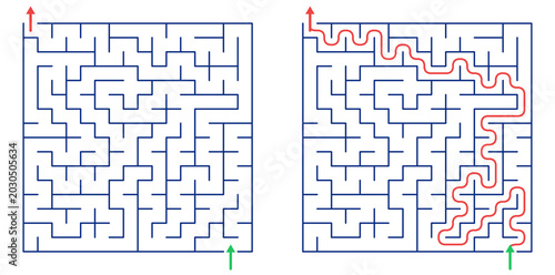Foto Diagram of maze with solution path and entry-exit points illustrated