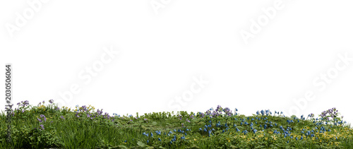 Fotografie Flowers in various colors bloom among green grass on a hillside during spring