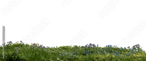 Panel kuchenny z motywem Flowers in various colors bloom among green grass on a hillside during spring. The bright sky offers natural light to showcase the plants and landscape. 3d render