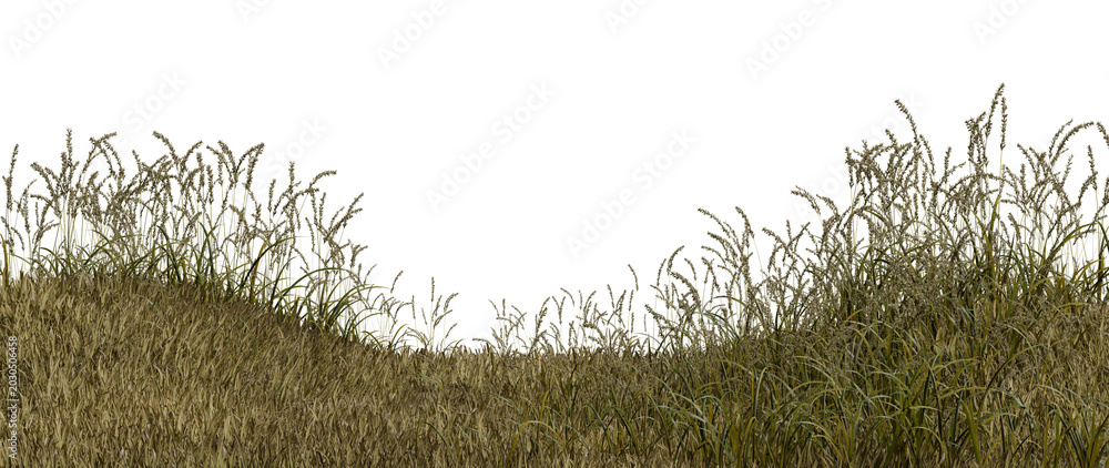 Obraz premium Tall grass covers a small hill. The grass is healthy and green, stretching towards a bright sky. The scene captures a simple moment in nature during a sunny day. 3d render