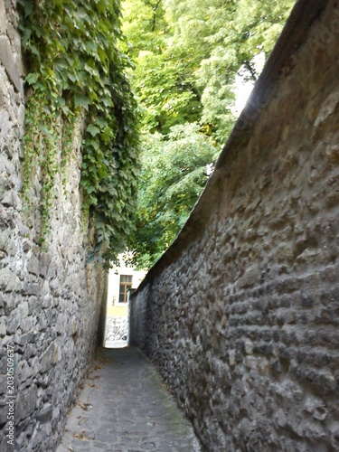 Принти на полотні Old Town Alley in Szentendre, Hungary