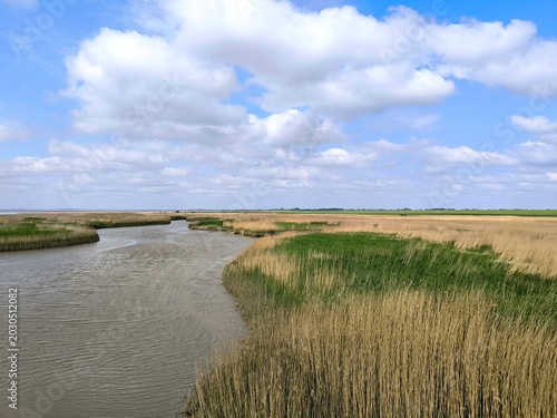 Scenic Marshland River Winding Through Tall Reeds Under Blue Cloudy Sky