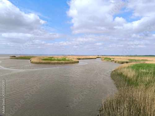 Scenic Marshland River Winding Through Tall Reeds Under Blue Cloudy Sky