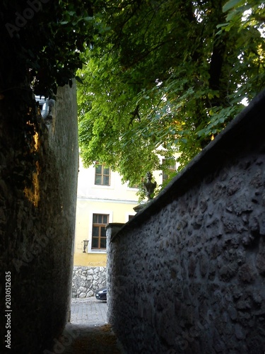 Принти на полотні Old Town Alley in Szentendre, Hungary