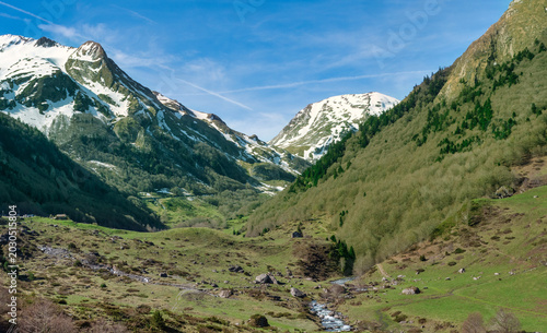 View of the Gave de Brousset river in the Pyrenees mountains, on the road to the Pourtalet pass.