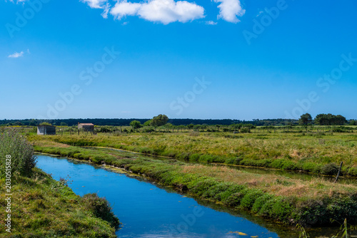 View of the marshes of Talmont Saint Hilaire in Vendee, France
