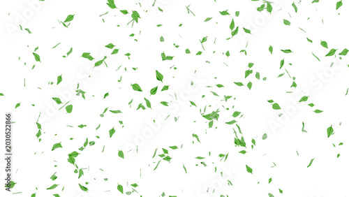 green leaves,  refreshing nature concept, flying green leaves