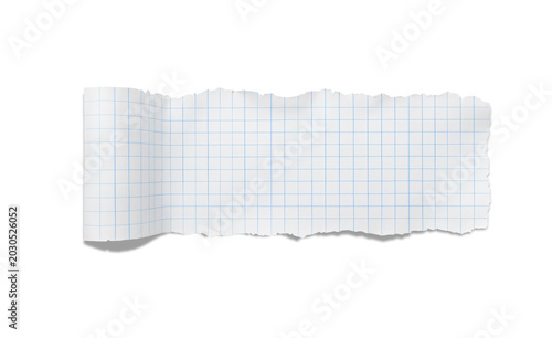 Torn Lined Graph Paper with Ripped Edges Isolated on White Background for Design