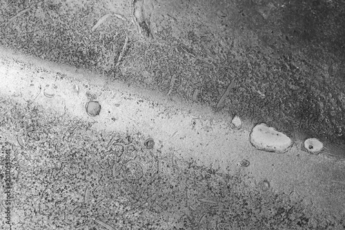 Obraz na plátně Microscopic texture showing an abstract rough metallic surface with intricate gr